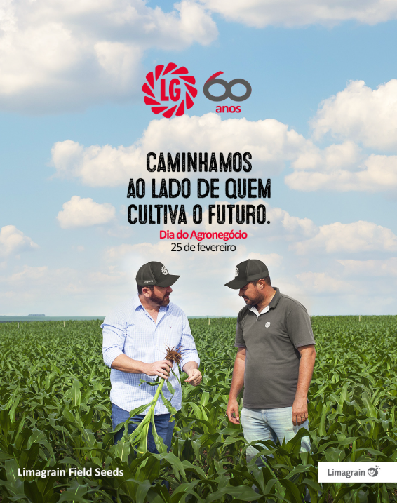 post-instagram-brasil